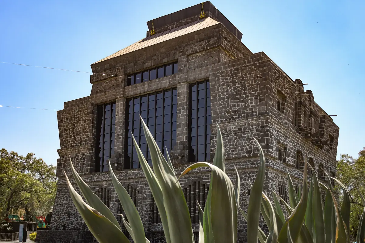 The Anahuacalli Museum, a tall building of dark volcanic stone with narrow windows, seen behind agave leaves under a clear sky.