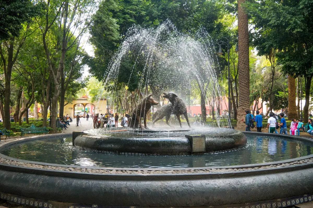 The bronze coyote fountain in Coyoacán's Jardín Centenario, two coyotes in a ring of water jets under shady trees.